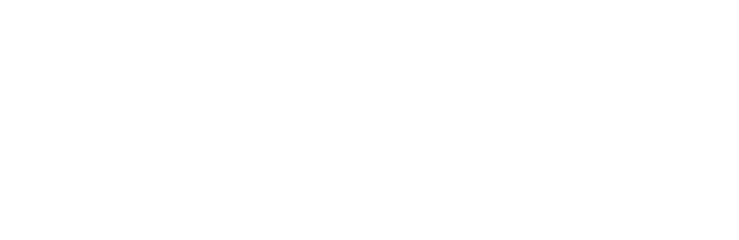 logo-ERBE-n1